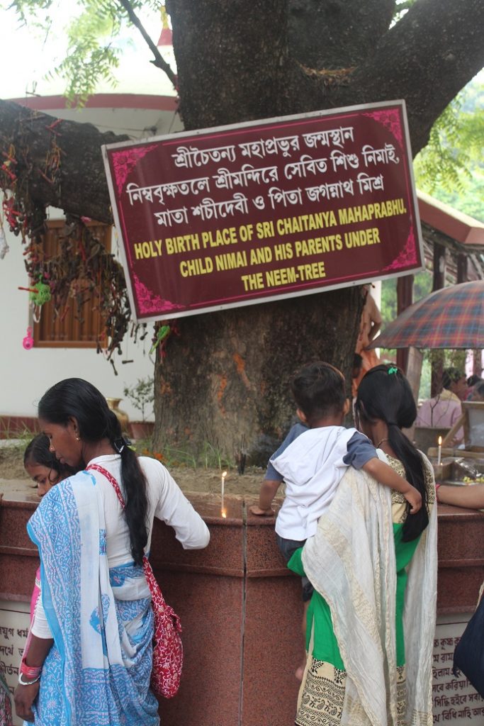 gaurpurnima2016f