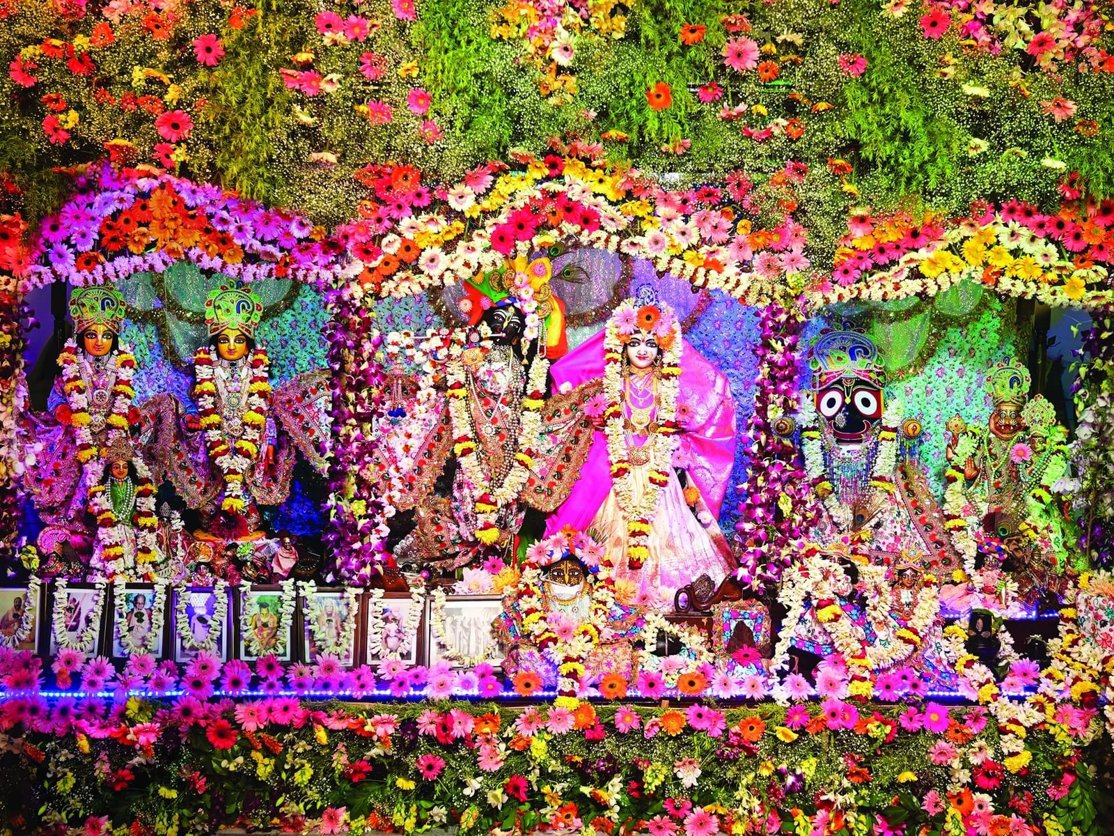 Radha Gopinath Full Image.jpg(1)